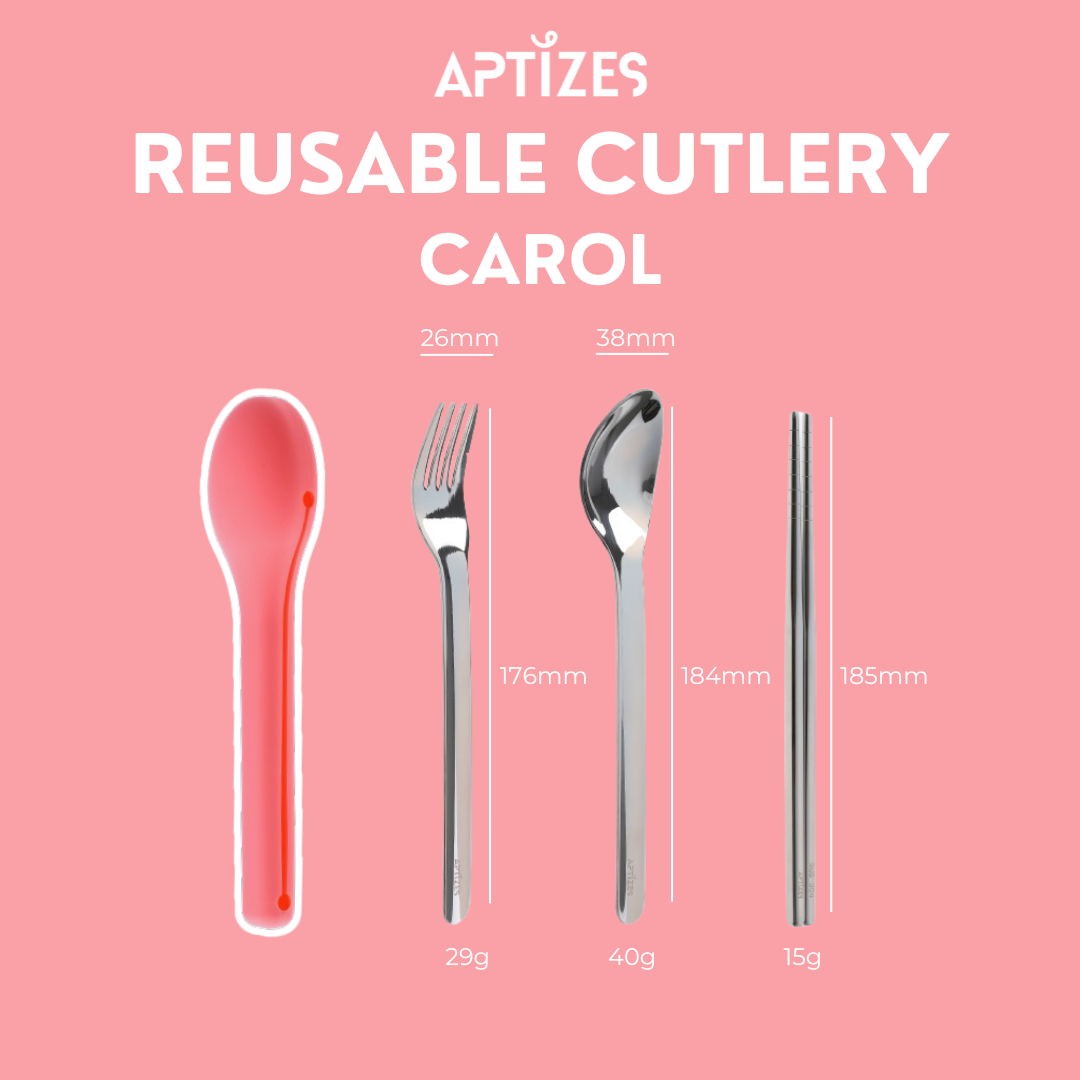 APTIZES Reusable Travel Cutlery Set On to Go 304 (18/08) Stainless Steel Fork Spoon Knife Chopstick with Silicon Case